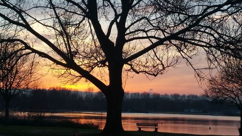 Silhouette of bare tree in lake during sunset