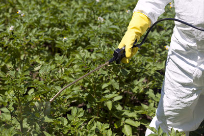 Cropped image of worker spraying pesticide on plants