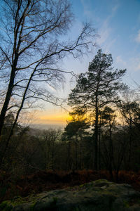 Bare trees on landscape against sky at sunset