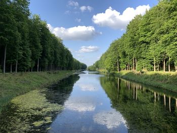 Canal amidst trees against sky