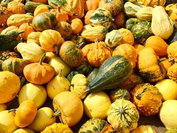 Full frame shot of pumpkins for sale at market stall