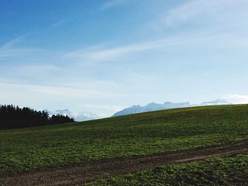 Scenic view of grassy field against cloudy sky