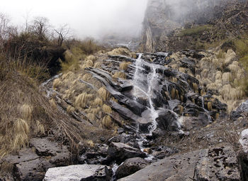 Narrow stream along the landscape