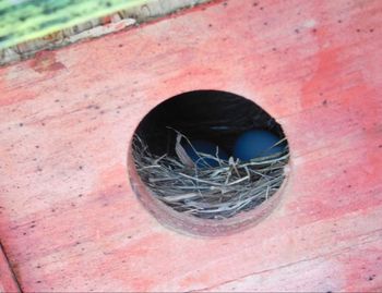 High angle view of basketball hoop