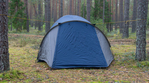 Tent on field by trees in forest