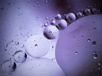 Close-up of water drops