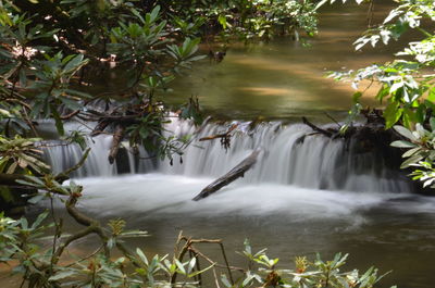 Scenic view of waterfall in forest