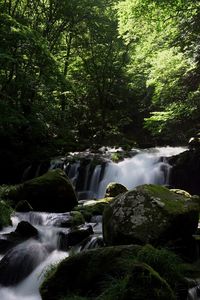 River flowing through rocks