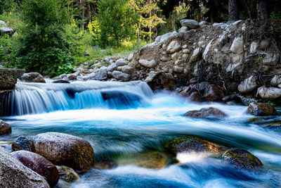 Scenic view of waterfall in forest