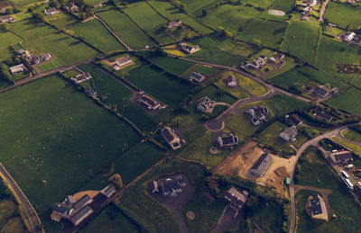 High angle view of agricultural field