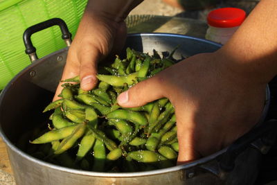 Close-up of human hands holding vegetable in container