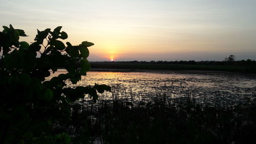 Silhouette birds by lake against sky during sunset