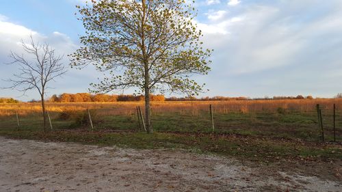 Scenic view of grassy field against cloudy sky