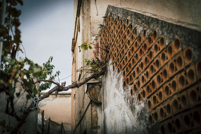 Low angle view of damaged building against sky