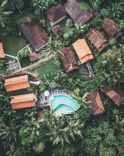 High angle view of trees and buildings