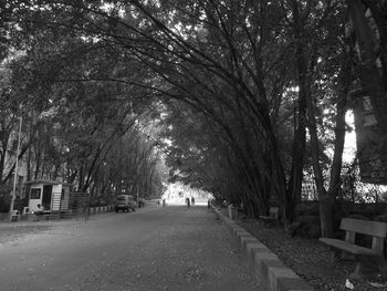 Street amidst trees in park