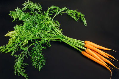High angle view of vegetables on table against black background
