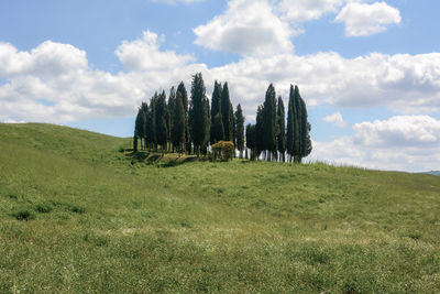 Scenic view of landscape against cloudy sky