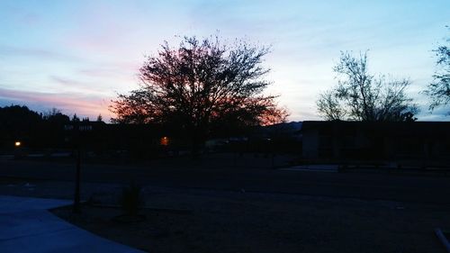 Silhouette trees by building against sky at sunset