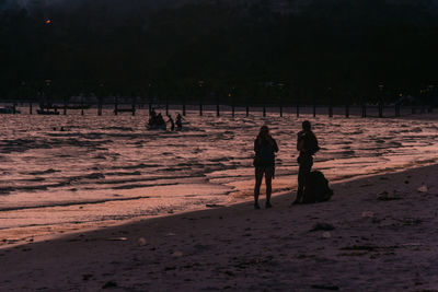 Rear view of silhouette people walking on beach