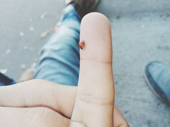 Low section of woman with small bug on finger