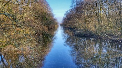 Close-up of reflection of trees in water