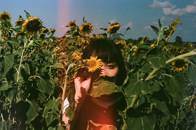 Portrait of young woman sanding amidst sunflower at farm