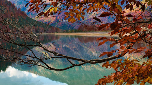 Reflection of trees on lake during autumn