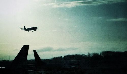 Silhouette bird flying against sky