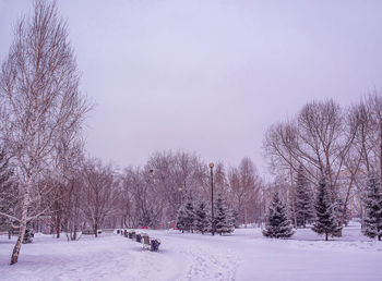 City park under the snow. winter cityscape, snowing