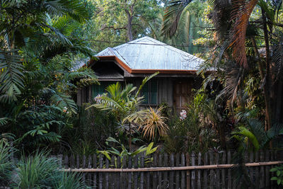 House amidst trees and plants in forest