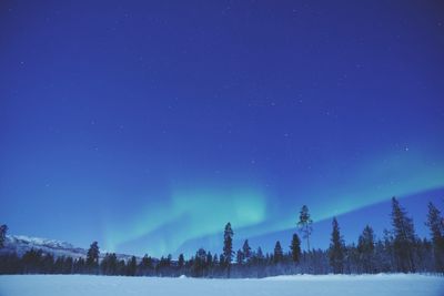 Scenic view of aurora borelias over snow covered land against blue sky at night