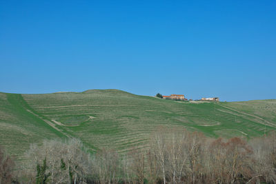 Scenic view of agricultural field against clear blue sky