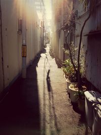 View of narrow road