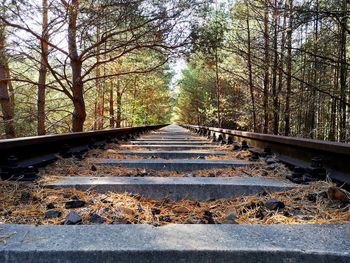 Surface level of railroad tracks in forest