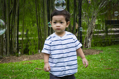 Portrait of boy standing by plants