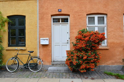 View of plants in city
