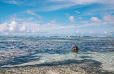 View of a swimming in sea