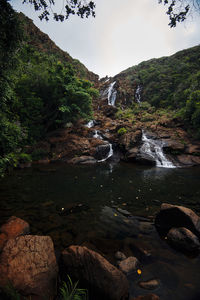 River flowing through rocks in forest against sky