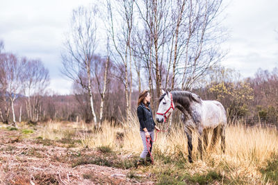 Horse standing on field