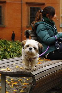 Rear view of woman with dog sitting outdoors