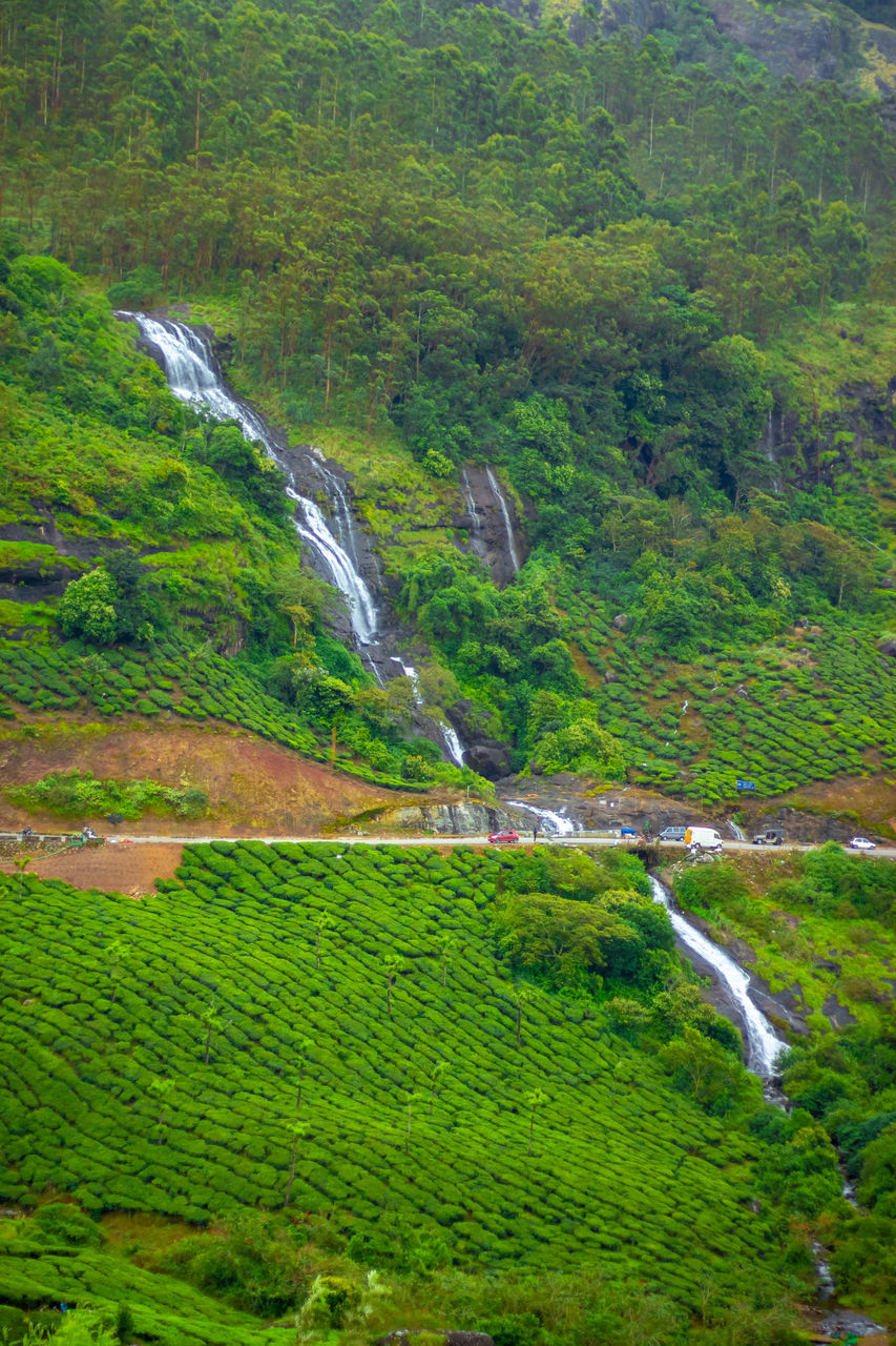 SCENIC VIEW OF WATERFALL ON FOREST