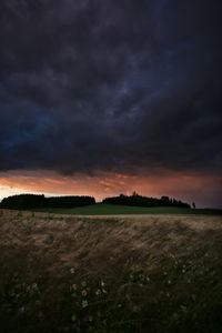 Scenic view of field against sky during sunset