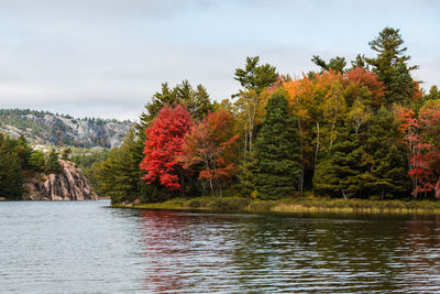 Scenic view of lake by trees against sky during autumn