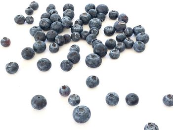 High angle view of blueberries against white background