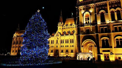 Illuminated christmas tree outside building at night