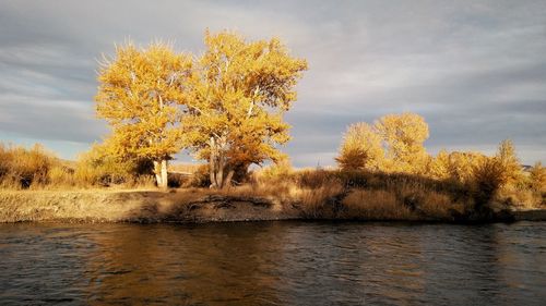 Trees by lake against sky during autumn