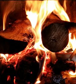 Close-up of bonfire at night