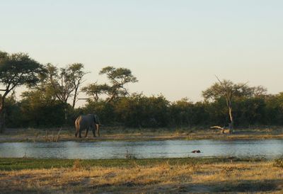 Scenic view of river by field against clear sky