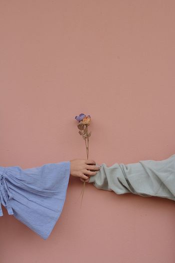 Close-up of hand holding flowers against wall